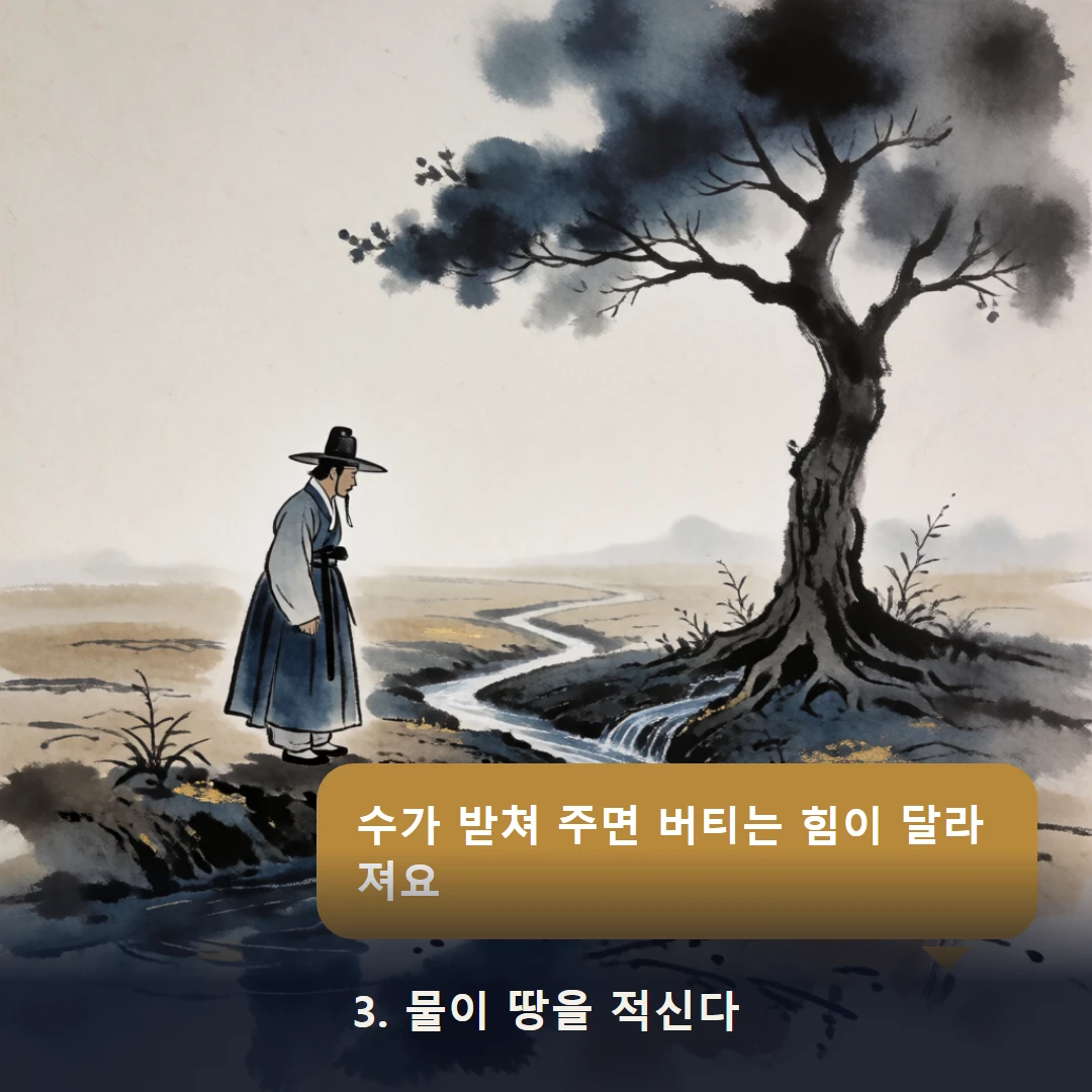 웹툰 3컷 — 3. 물이 땅을 적신다 (수가 받쳐 주면 버티는 힘이 달라져요)
