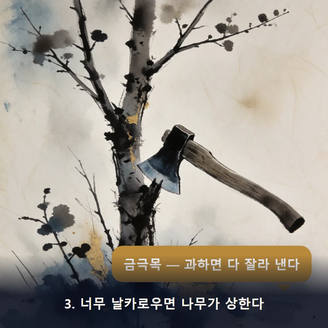 웹툰 3컷 — 3. 너무 날카로우면 나무가 상한다 (금극목 — 과하면 다 잘라 낸다)