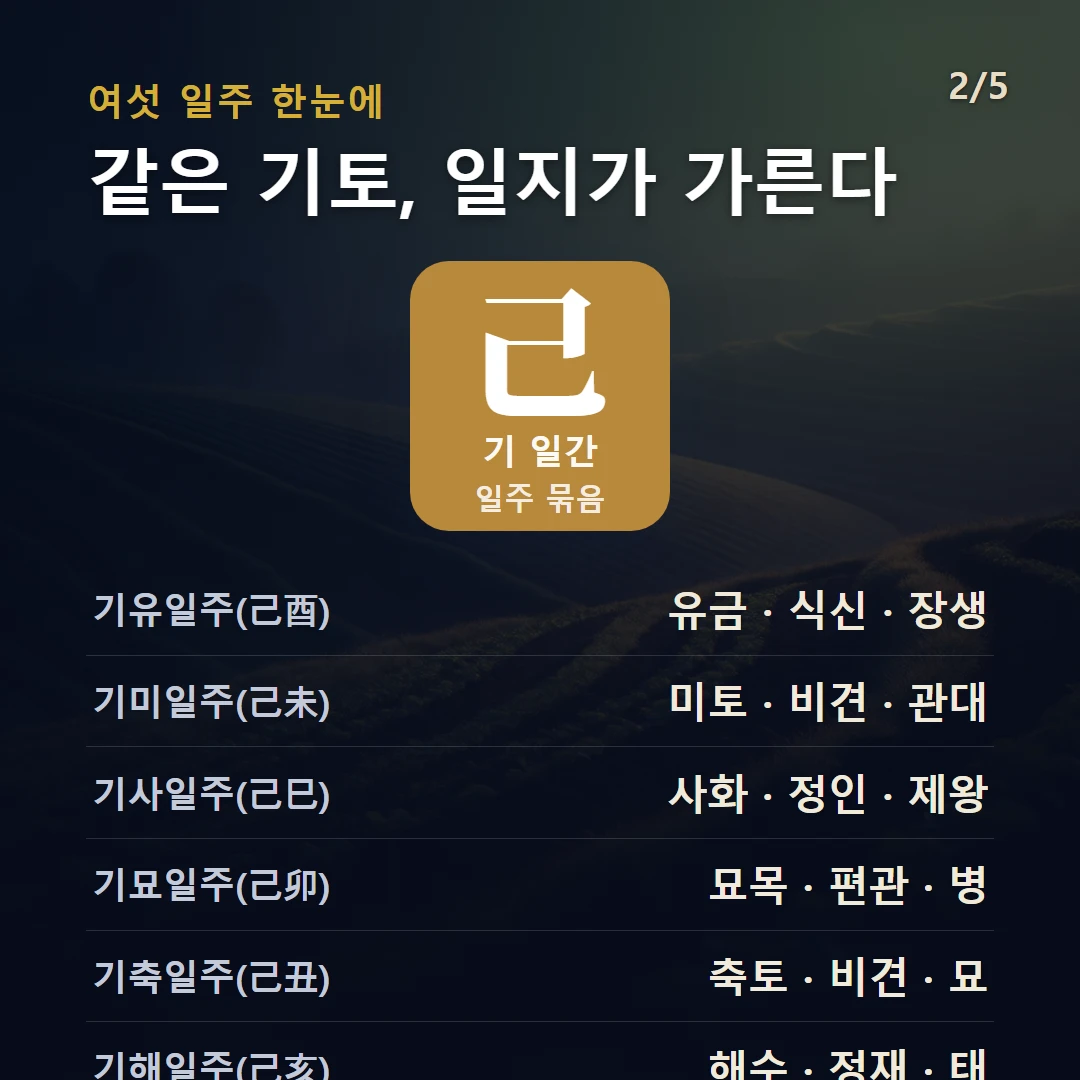 기 일간 일주 구조 — 기토 일간의 여섯 일주(기축·기묘·기사·기미·기유·기해)를 데이터로 비교