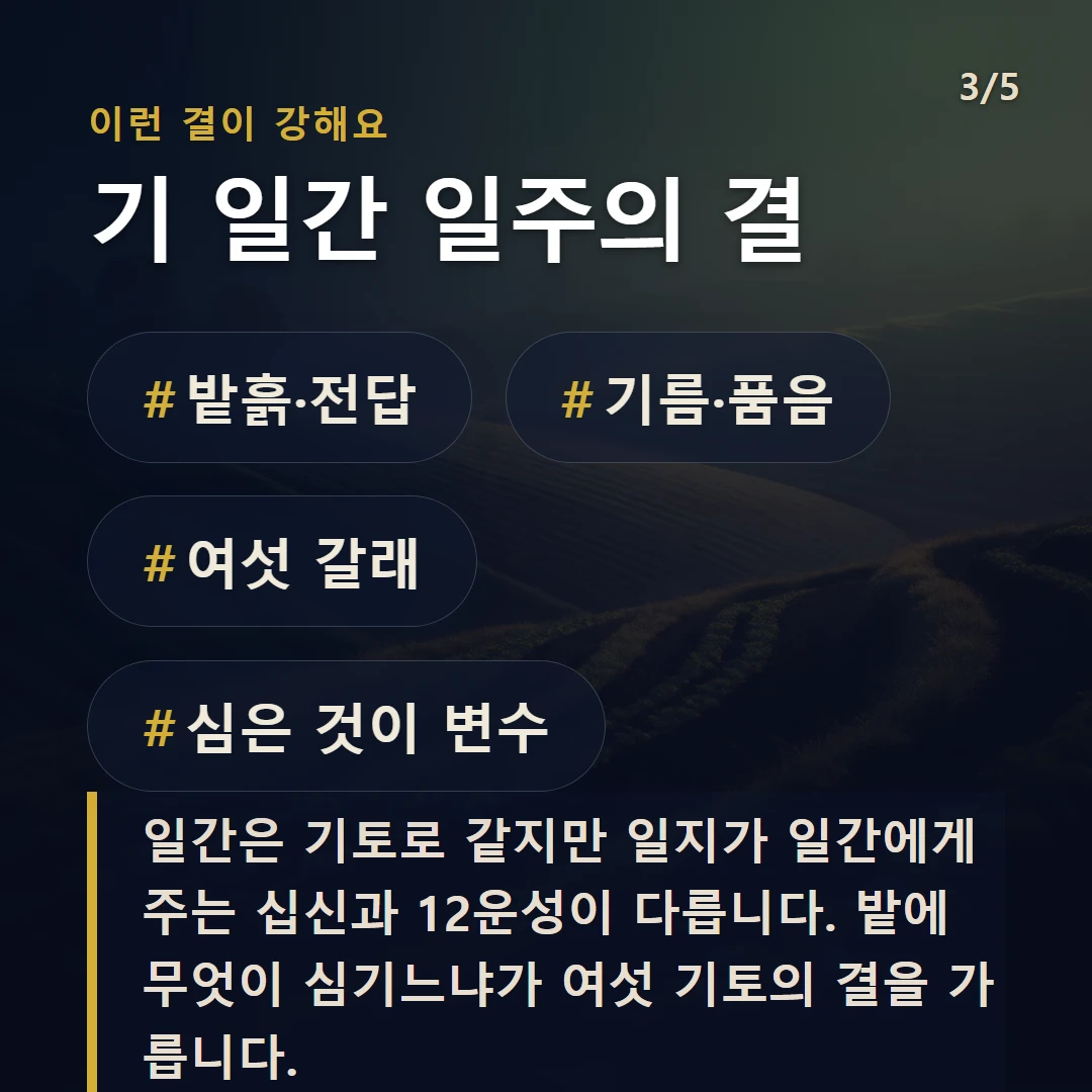 기 일간 일주의 결 — #밭흙·전답 #기름·품음 #여섯 갈래 #심은 것이 변수