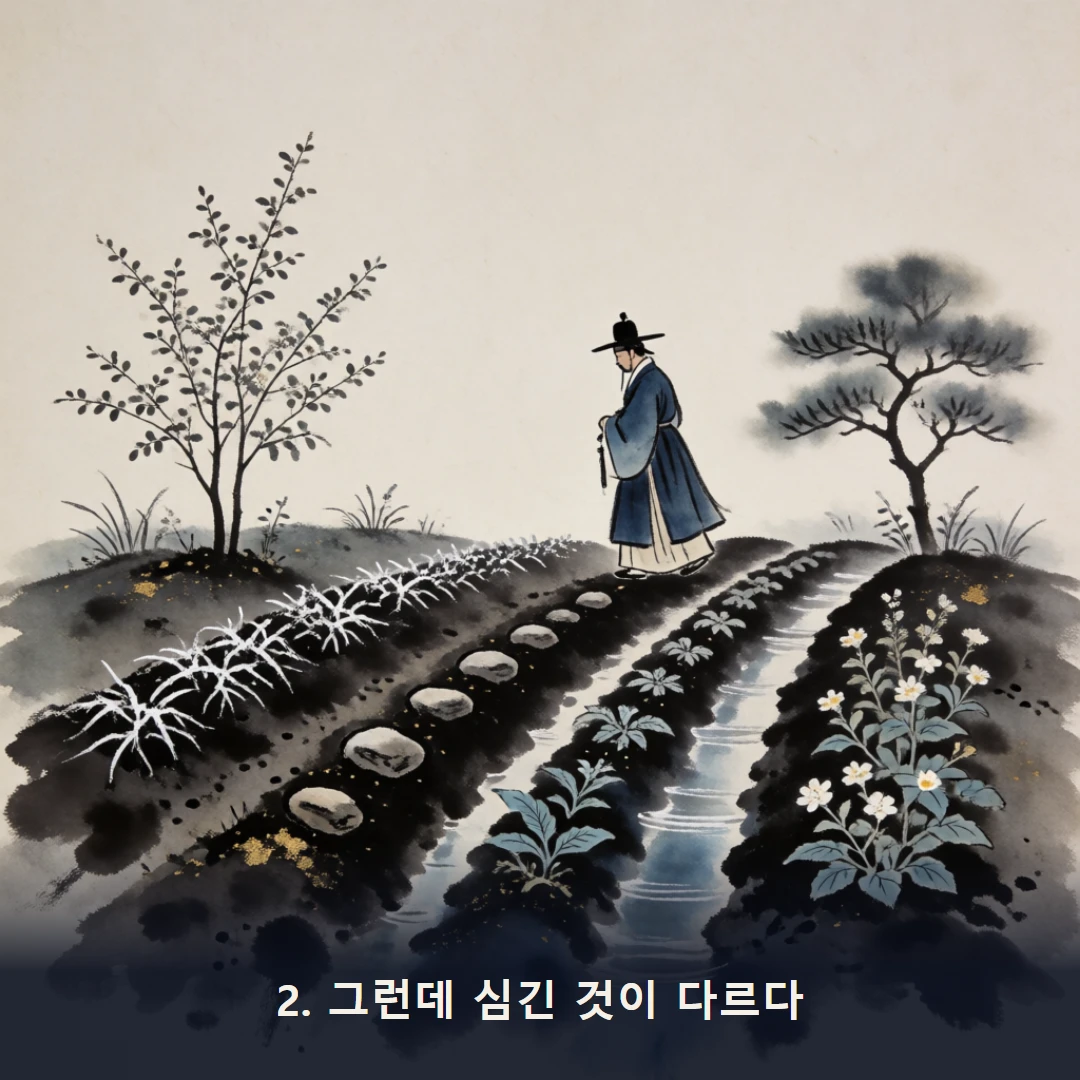 웹툰 2컷 — 2. 그런데 심긴 것이 다르다