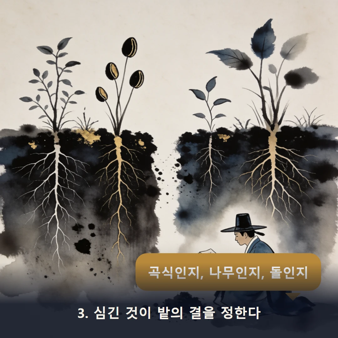 웹툰 3컷 — 3. 심긴 것이 밭의 결을 정한다 (곡식인지, 나무인지, 돌인지)