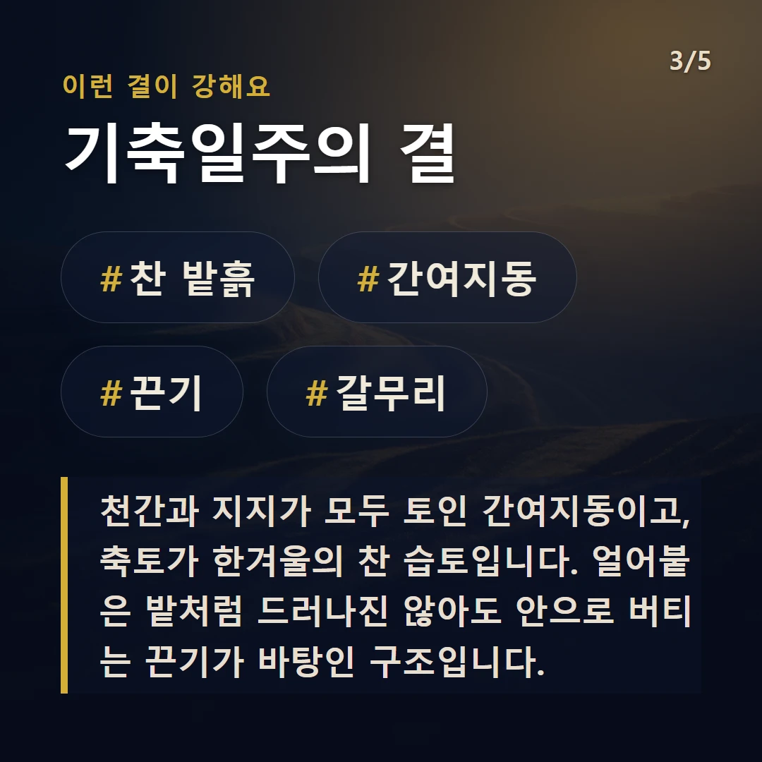 기축일주의 결 — #찬 밭흙 #간여지동 #끈기 #갈무리