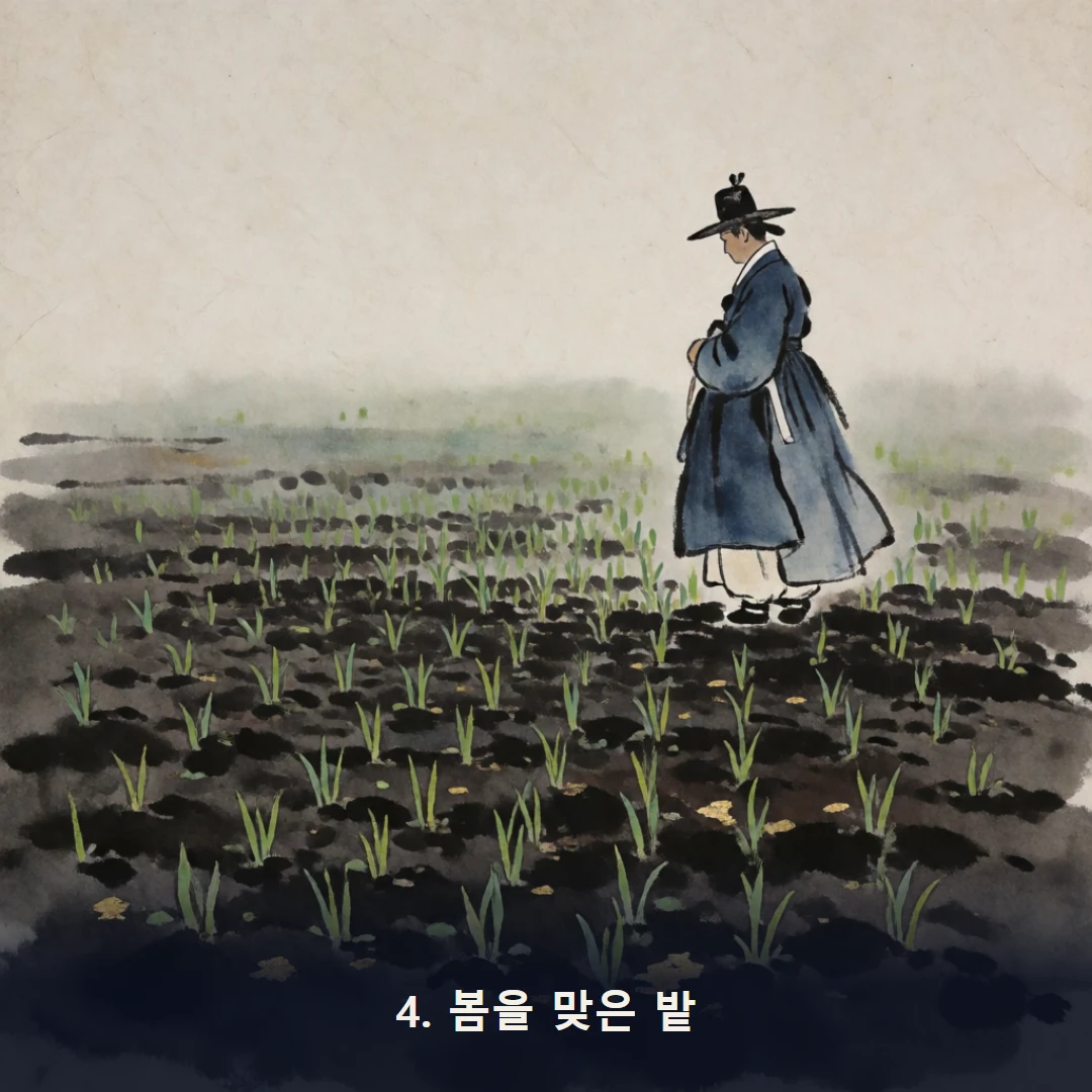 웹툰 4컷 — 4. 봄을 맞은 밭