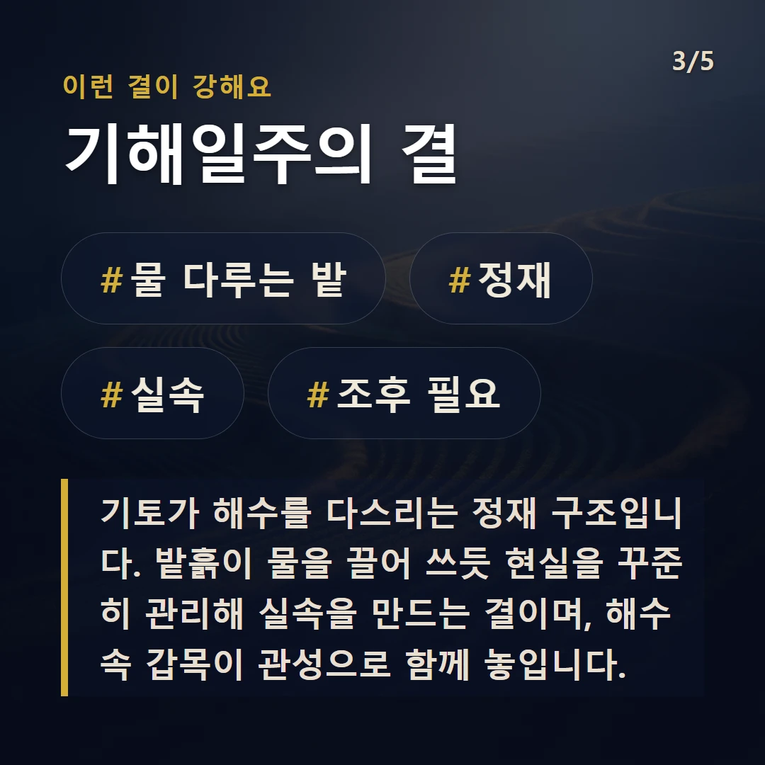기해일주의 결 — #물 다루는 밭 #정재 #실속 #조후 필요