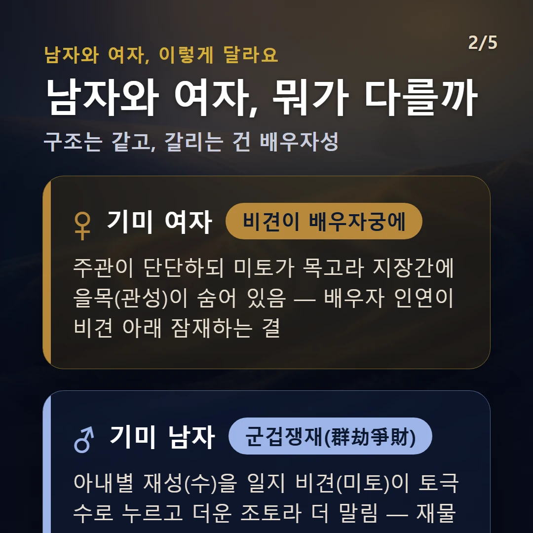 기미일주 남녀 차이 — 여자 비견이 배우자궁에: 주관이 단단하되 미토가 목고라 지장간에 을목(관성)이 숨어 있음 — 배우자 인연이 비견 아래 잠재하는 결 / 남자 군겁쟁재(群劫爭財): 아내별 재성(수)을 일지 비견(미토)이 토극수로 누르고 더운 조토라 더 말림 — 재물·아내를 두고 경쟁·간섭이 끼어들기 쉬운 결