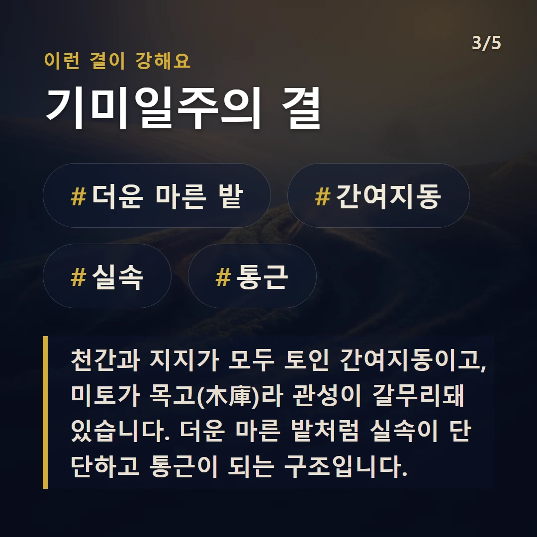 기미일주의 결 — #더운 마른 밭 #간여지동 #실속 #통근