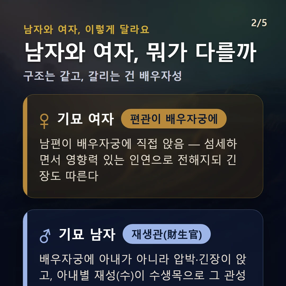 기묘일주 남녀 차이 — 여자 편관이 배우자궁에: 남편이 배우자궁에 직접 앉음 — 섬세하면서 영향력 있는 인연으로 전해지되 긴장도 따른다 / 남자 재생관(財生官): 배우자궁에 아내가 아니라 압박·긴장이 앉고, 아내별 재성(수)이 수생목으로 그 관성을 생 — 아내가 사회적 그릇을 받치는 자리
