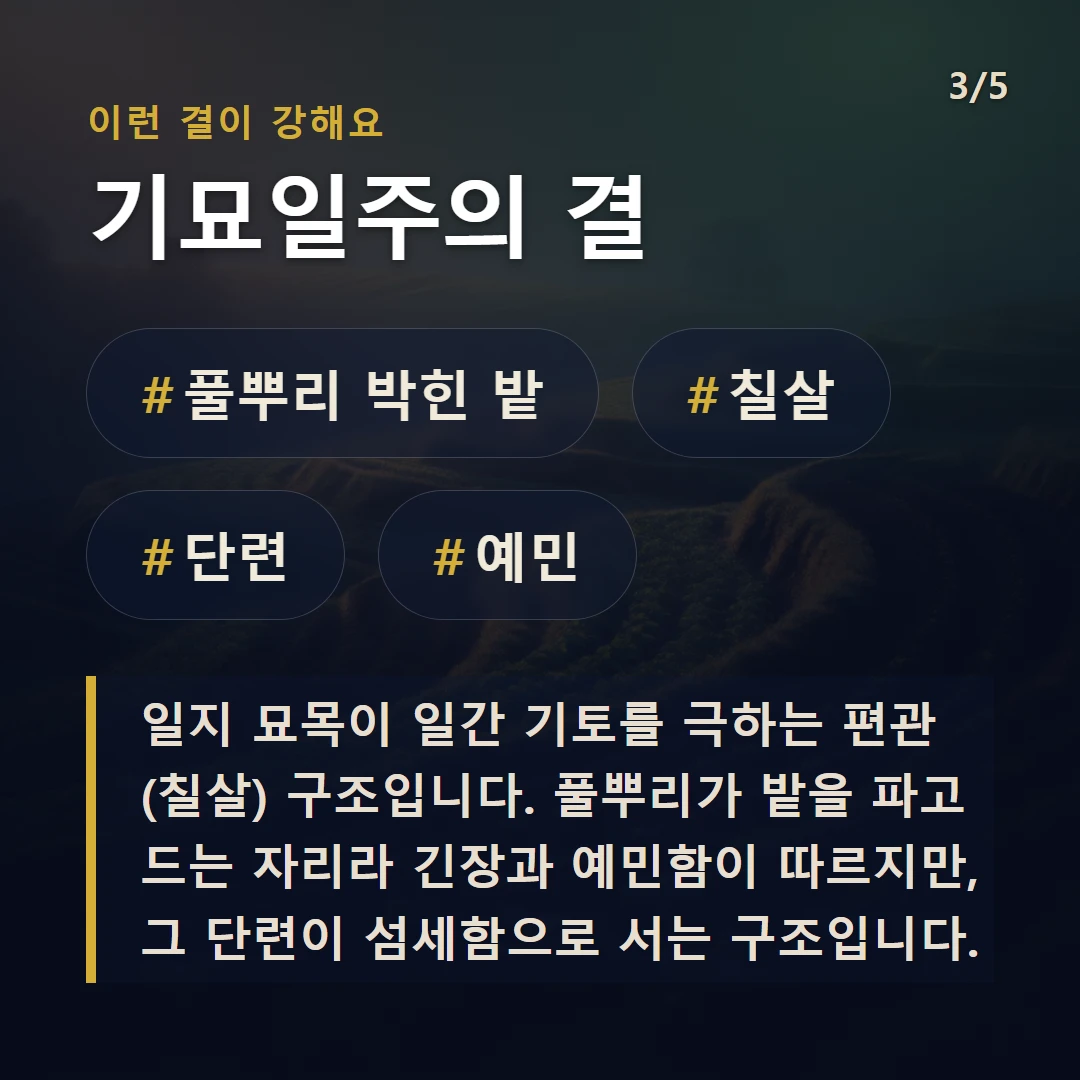 기묘일주의 결 — #풀뿌리 박힌 밭 #칠살 #단련 #예민