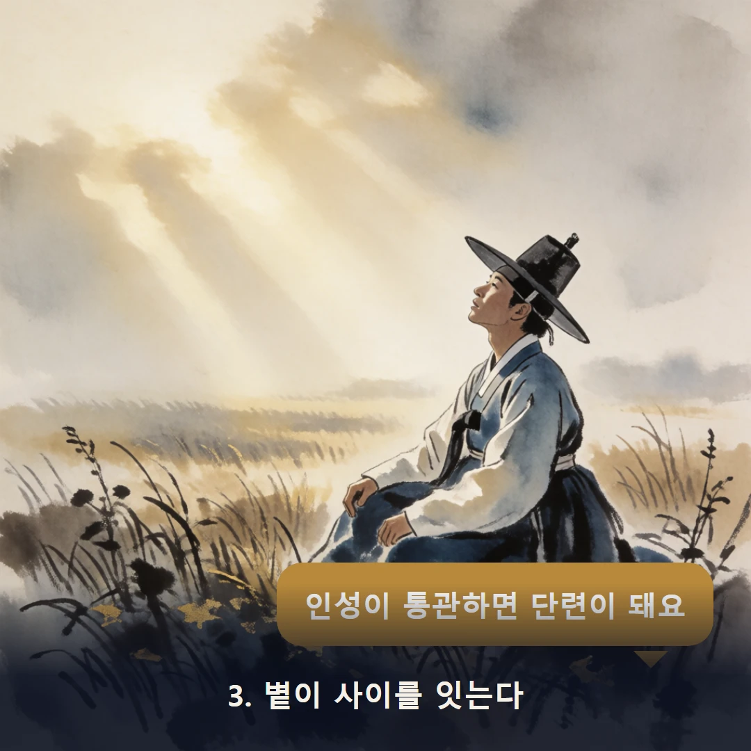 웹툰 3컷 — 3. 볕이 사이를 잇는다 (인성이 통관하면 단련이 돼요)