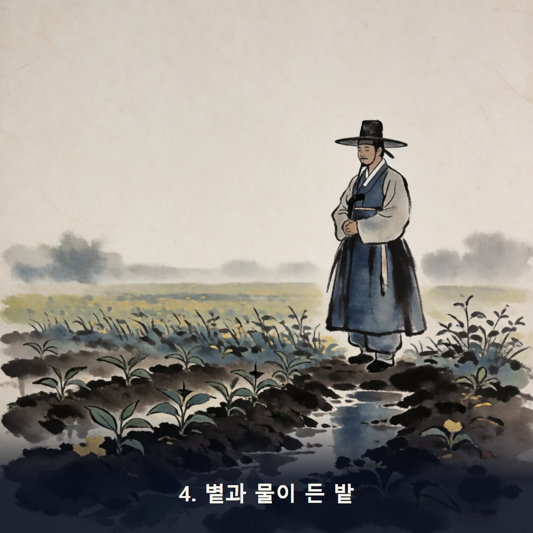 웹툰 4컷 — 4. 볕과 물이 든 밭