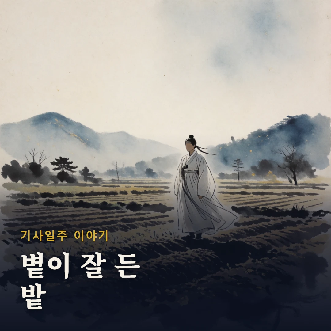 기사일주 이야기 표지 — 볕이 잘 든 밭