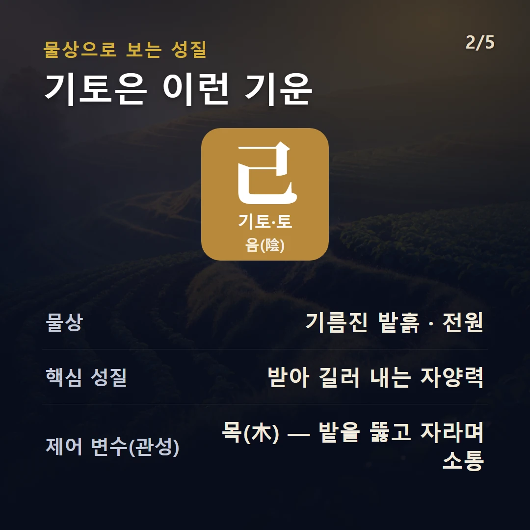 기토 물상·성질 — 토 음, 물상 기름진 밭흙 · 전원, 받아 길러 내는 자양력, 제어 변수 목(木) — 밭을 뚫고 자라며 소통
