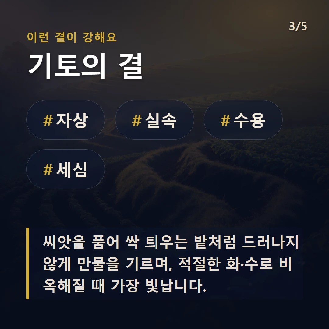 기토의 결 — #자상 #실속 #수용 #세심