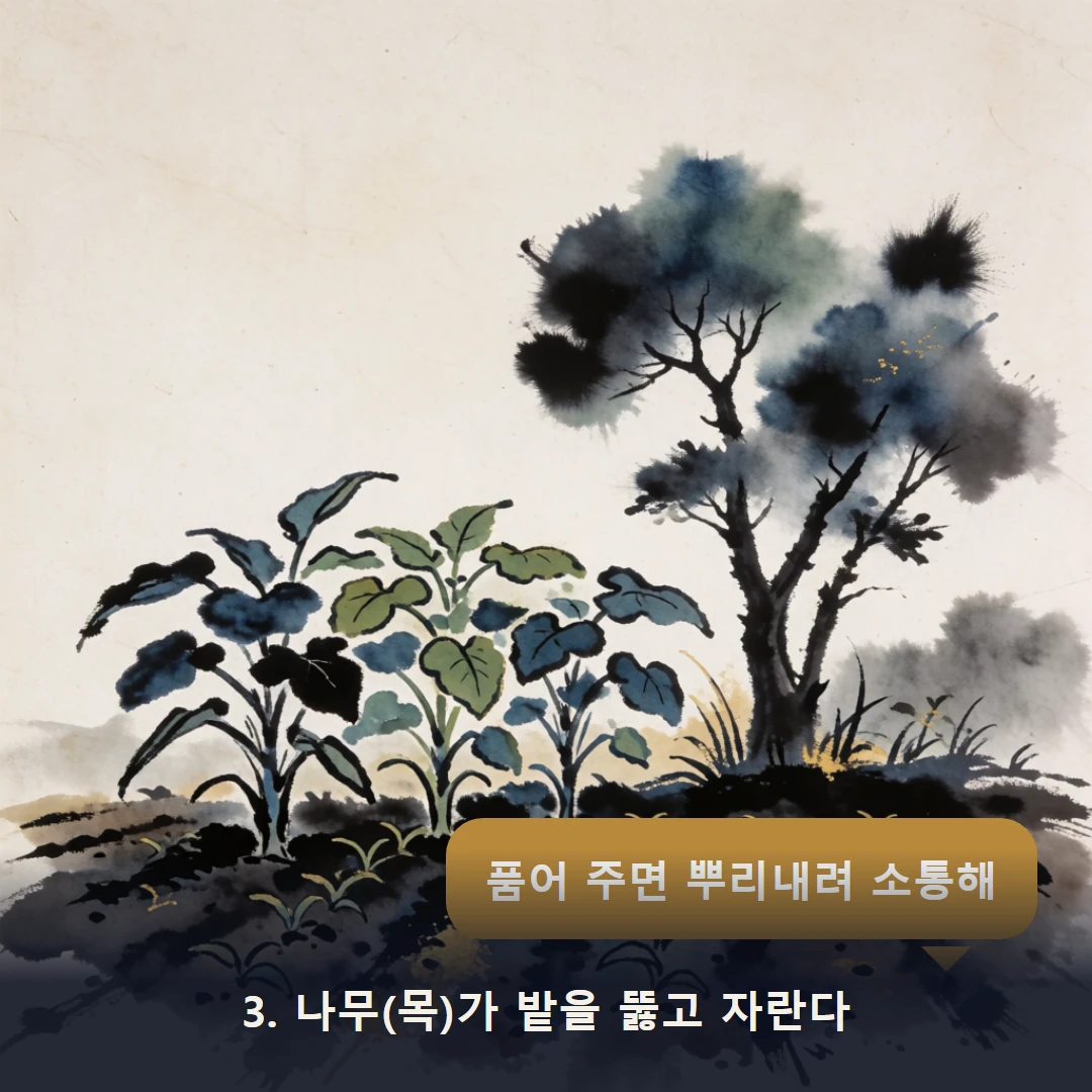 웹툰 3컷 — 3. 나무(목)가 밭을 뚫고 자란다 (품어 주면 뿌리내려 소통해)