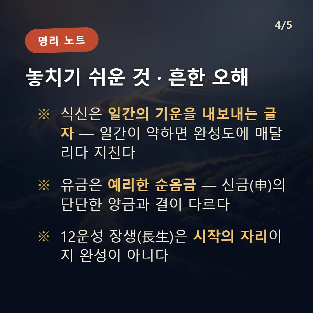 기유일주 주의·오해 — 식신은 일간의 기운을 내보내는 글자 — 일간이 약하면 완성도에 매달리다 지친다 / 유금은 예리한 순음금 — 신금(申)의 단단한 양금과 결이 다르다 / 12운성 장생(長生)은 시작의 자리이지 완성이 아니다