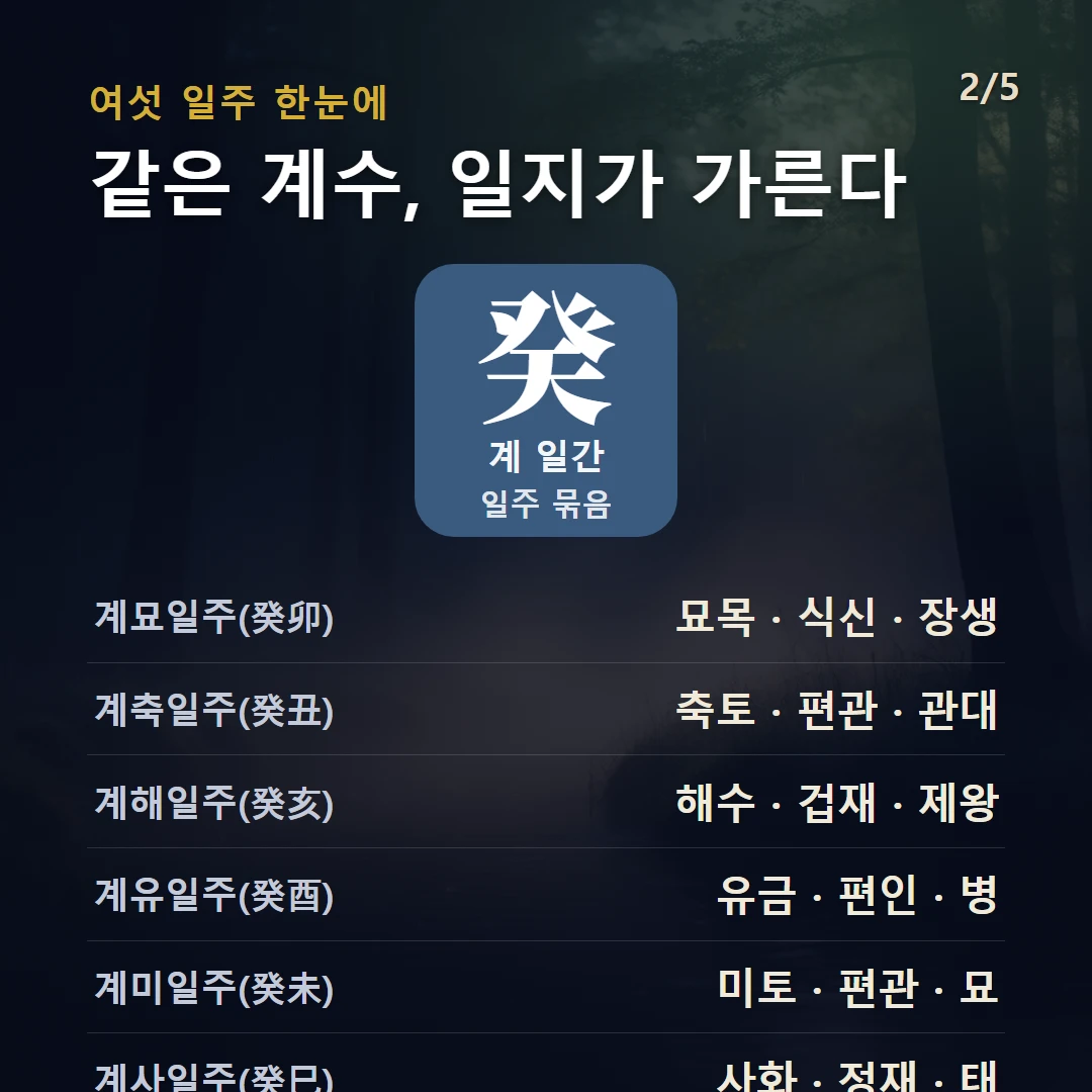 계 일간 일주 구조 — 계수 일간의 여섯 일주(계축·계묘·계사·계미·계유·계해)를 데이터로 비교