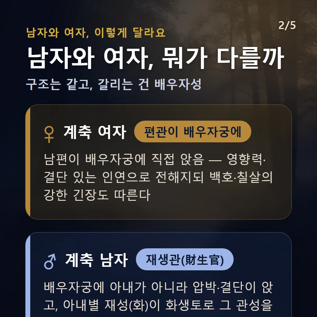 계축일주 남녀 차이 — 여자 편관이 배우자궁에: 남편이 배우자궁에 직접 앉음 — 영향력·결단 있는 인연으로 전해지되 백호·칠살의 강한 긴장도 따른다 / 남자 재생관(財生官): 배우자궁에 아내가 아니라 압박·결단이 앉고, 아내별 재성(화)이 화생토로 그 관성을 생 — 아내가 사회적 그릇을 받치는 자리