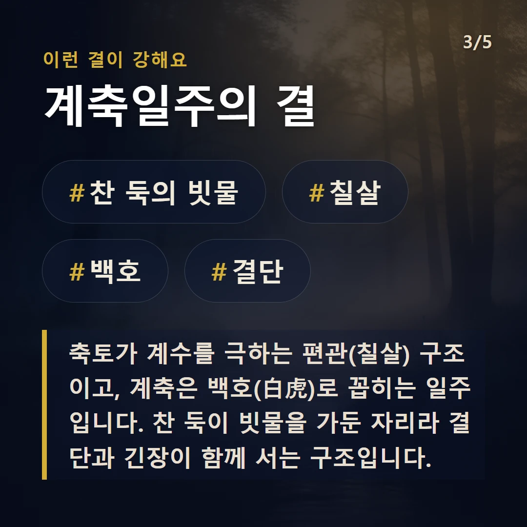 계축일주의 결 — #찬 둑의 빗물 #칠살 #백호 #결단