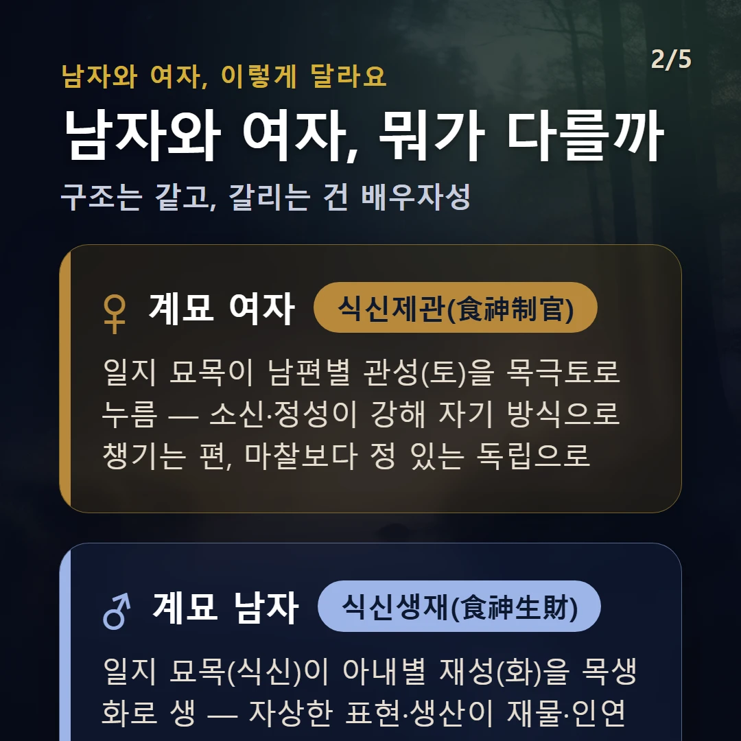 계묘일주 남녀 차이 — 여자 식신제관(食神制官): 일지 묘목이 남편별 관성(토)을 목극토로 누름 — 소신·정성이 강해 자기 방식으로 챙기는 편, 마찰보다 정 있는 독립으로 / 남자 식신생재(食神生財): 일지 묘목(식신)이 아내별 재성(화)을 목생화로 생 — 자상한 표현·생산이 재물·인연으로 이어지는 우호적 결