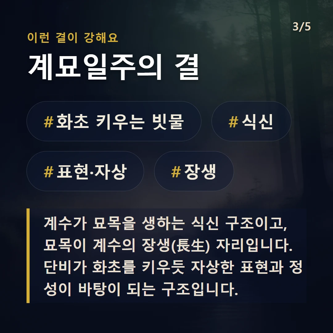 계묘일주의 결 — #화초 키우는 빗물 #식신 #표현·자상 #장생