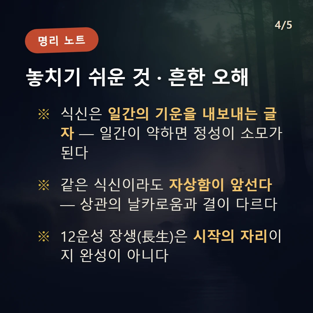 계묘일주 주의·오해 — 식신은 일간의 기운을 내보내는 글자 — 일간이 약하면 정성이 소모가 된다 / 같은 식신이라도 자상함이 앞선다 — 상관의 날카로움과 결이 다르다 / 12운성 장생(長生)은 시작의 자리이지 완성이 아니다