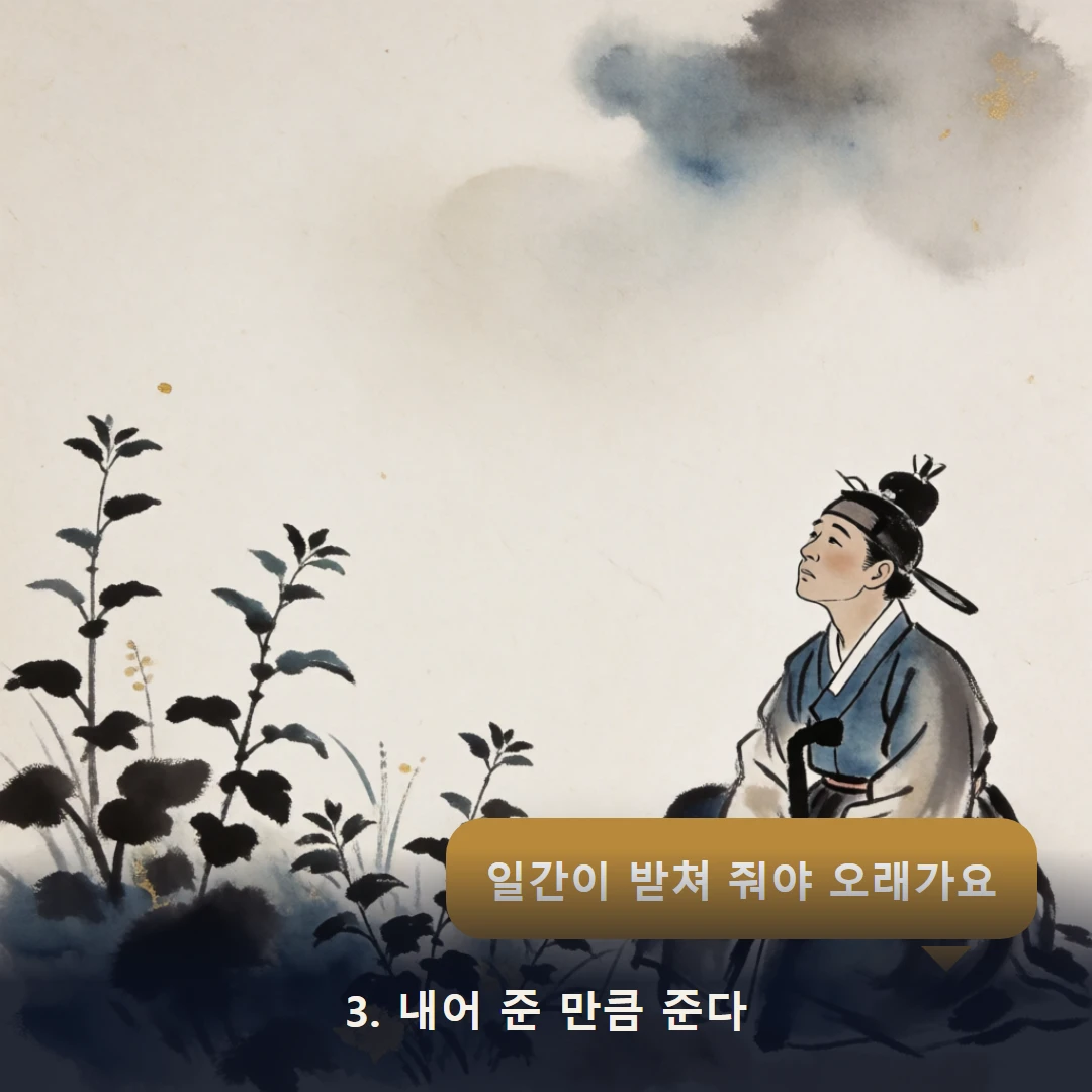 웹툰 3컷 — 3. 내어 준 만큼 준다 (일간이 받쳐 줘야 오래가요)