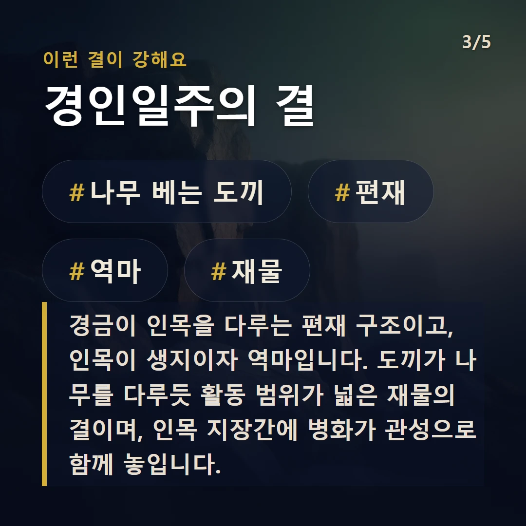 경인일주의 결 — #나무 베는 도끼 #편재 #역마 #재물