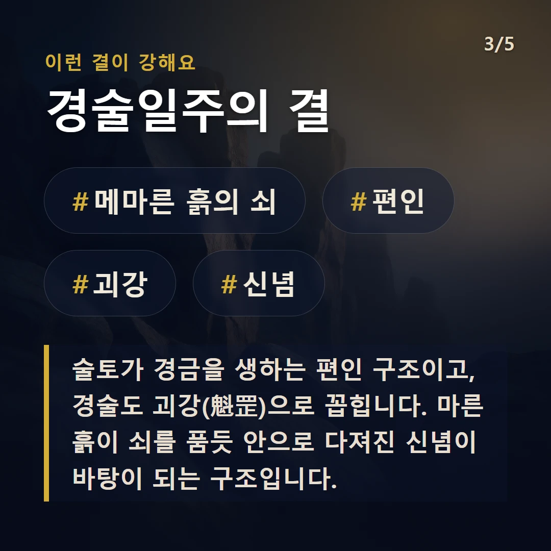 경술일주의 결 — #메마른 흙의 쇠 #편인 #괴강 #신념