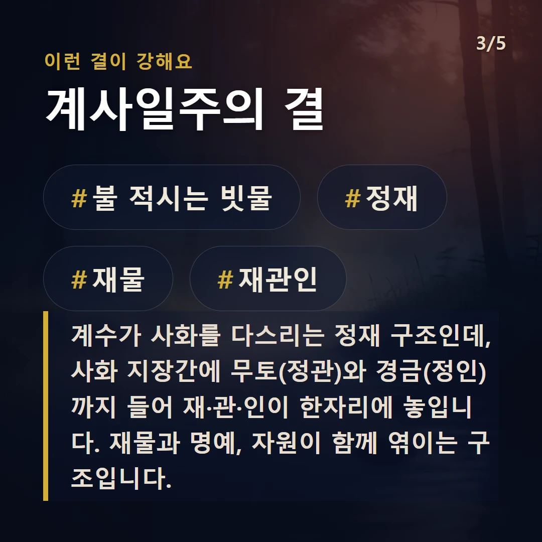 계사일주의 결 — #불 적시는 빗물 #정재 #재물 #재관인
