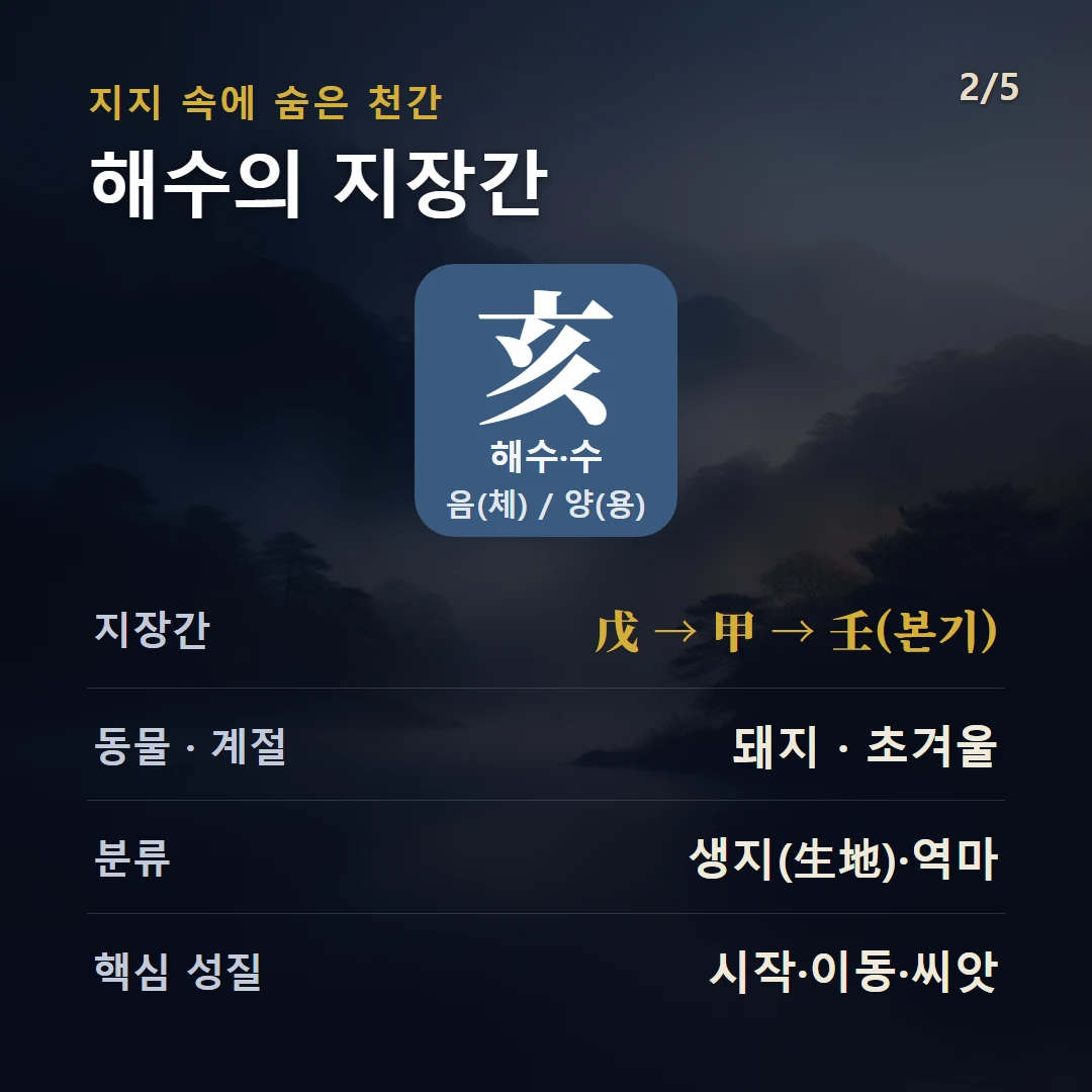 해수 지장간 — 수 음(체) / 양(용), 지장간 戊 → 甲 → 壬(본기), 동물 돼지, 초겨울, 생지(生地)·역마