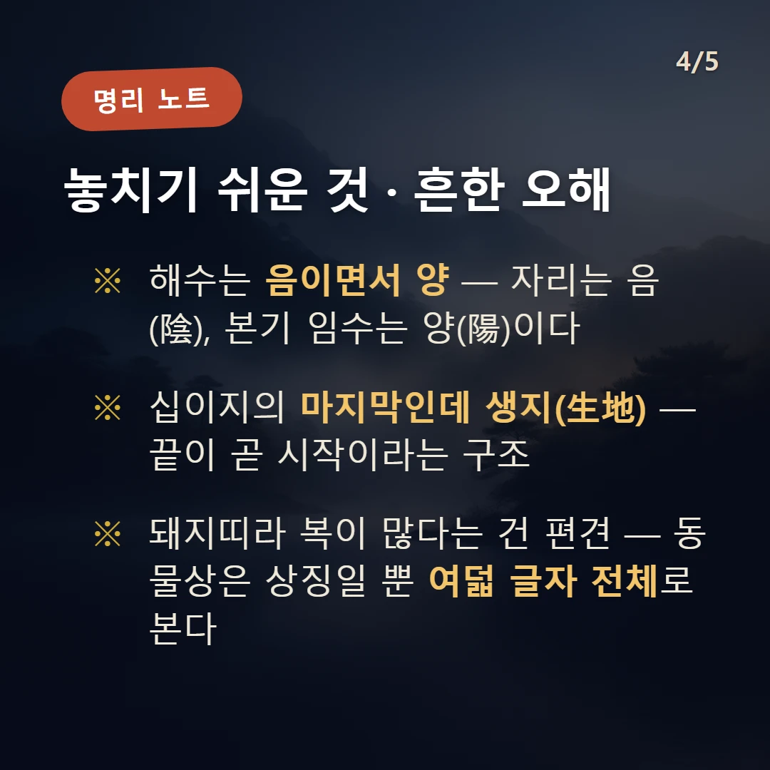 해수 주의·오해 — 해수는 음이면서 양 — 자리는 음(陰), 본기 임수는 양(陽)이다 / 십이지의 마지막인데 생지(生地) — 끝이 곧 시작이라는 구조 / 돼지띠라 복이 많다는 건 편견 — 동물상은 상징일 뿐 여덟 글자 전체로 본다
