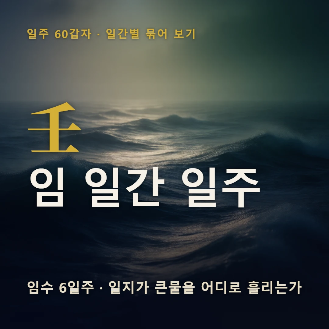 임 일간 일주 표지 — 임수 6일주 · 일지가 큰물을 어디로 흘리는가