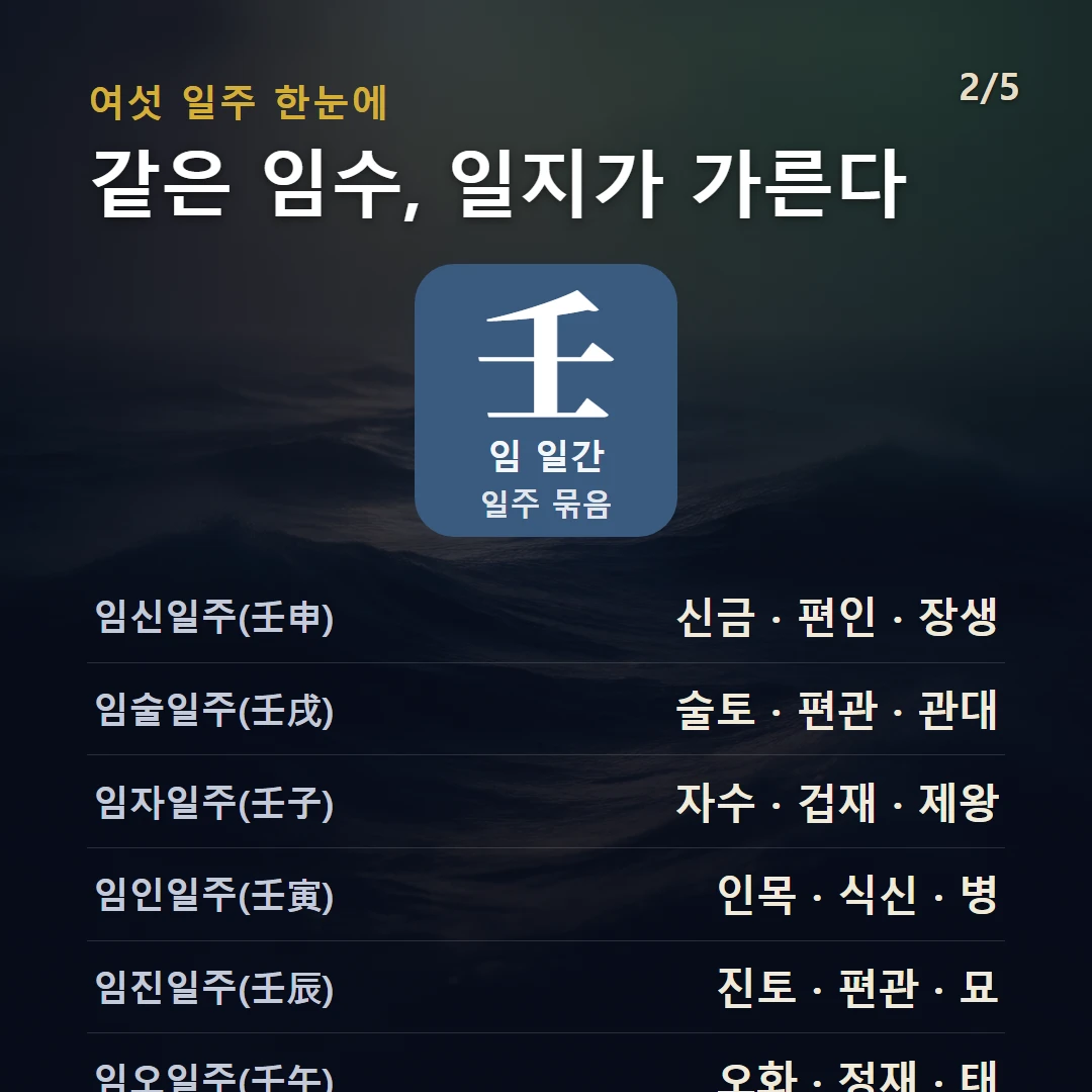 임 일간 일주 구조 — 임수 일간의 여섯 일주(임자·임인·임진·임오·임신·임술)를 데이터로 비교