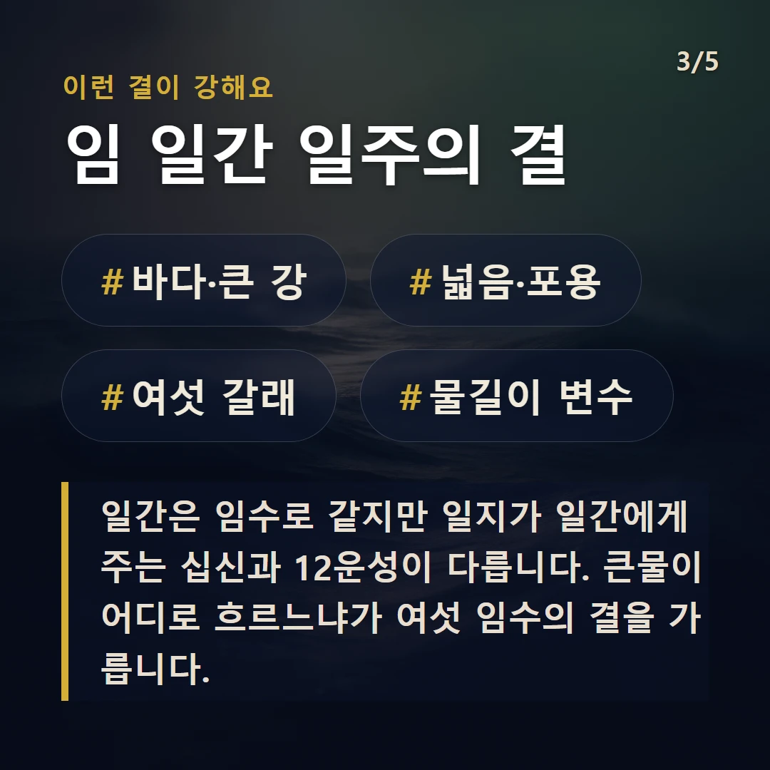임 일간 일주의 결 — #바다·큰 강 #넓음·포용 #여섯 갈래 #물길이 변수