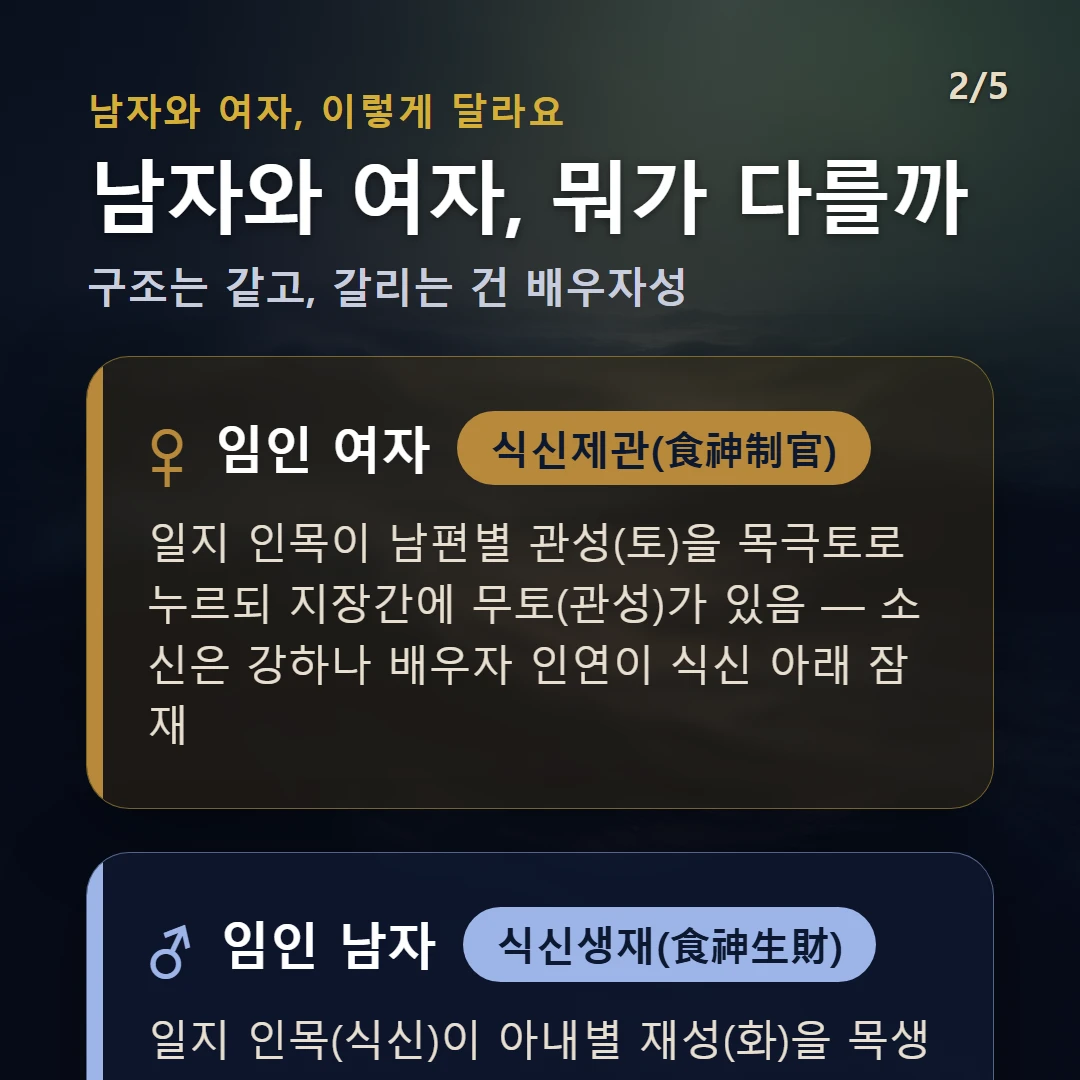 임인일주 남녀 차이 — 여자 식신제관(食神制官): 일지 인목이 남편별 관성(토)을 목극토로 누르되 지장간에 무토(관성)가 있음 — 소신은 강하나 배우자 인연이 식신 아래 잠재 / 남자 식신생재(食神生財): 일지 인목(식신)이 아내별 재성(화)을 목생화로 생하고 지장간에 병화(재성)가 있음 — 활동적 표현·생산이 재물·인연으로