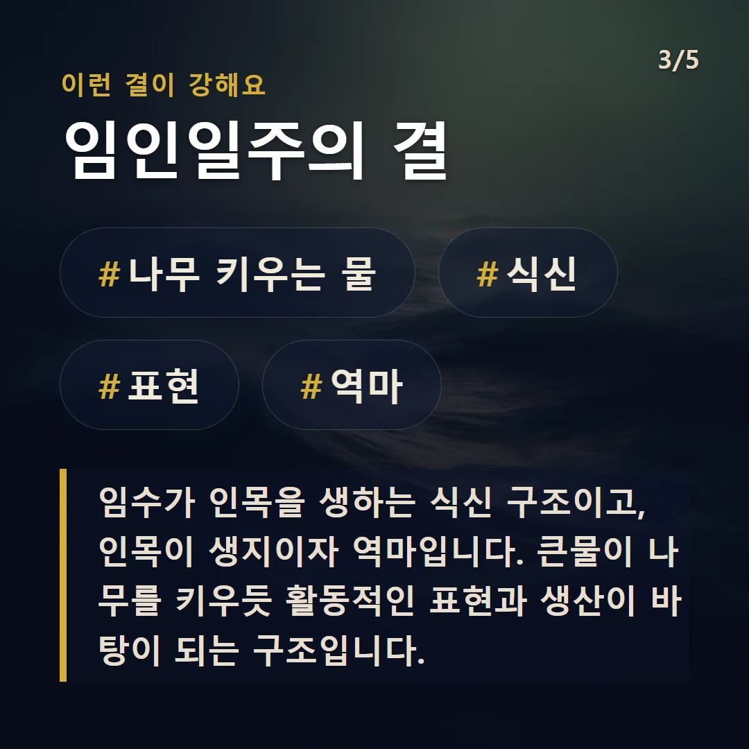 임인일주의 결 — #나무 키우는 물 #식신 #표현 #역마
