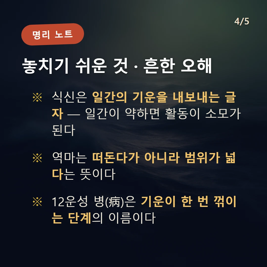 임인일주 주의·오해 — 식신은 일간의 기운을 내보내는 글자 — 일간이 약하면 활동이 소모가 된다 / 역마는 떠돈다가 아니라 범위가 넓다는 뜻이다 / 12운성 병(病)은 기운이 한 번 꺾이는 단계의 이름이다