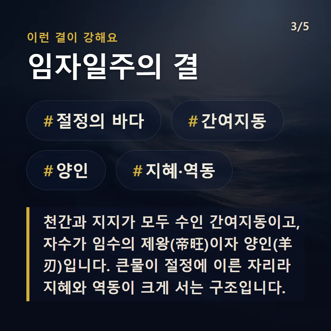 임자일주의 결 — #절정의 바다 #간여지동 #양인 #지혜·역동
