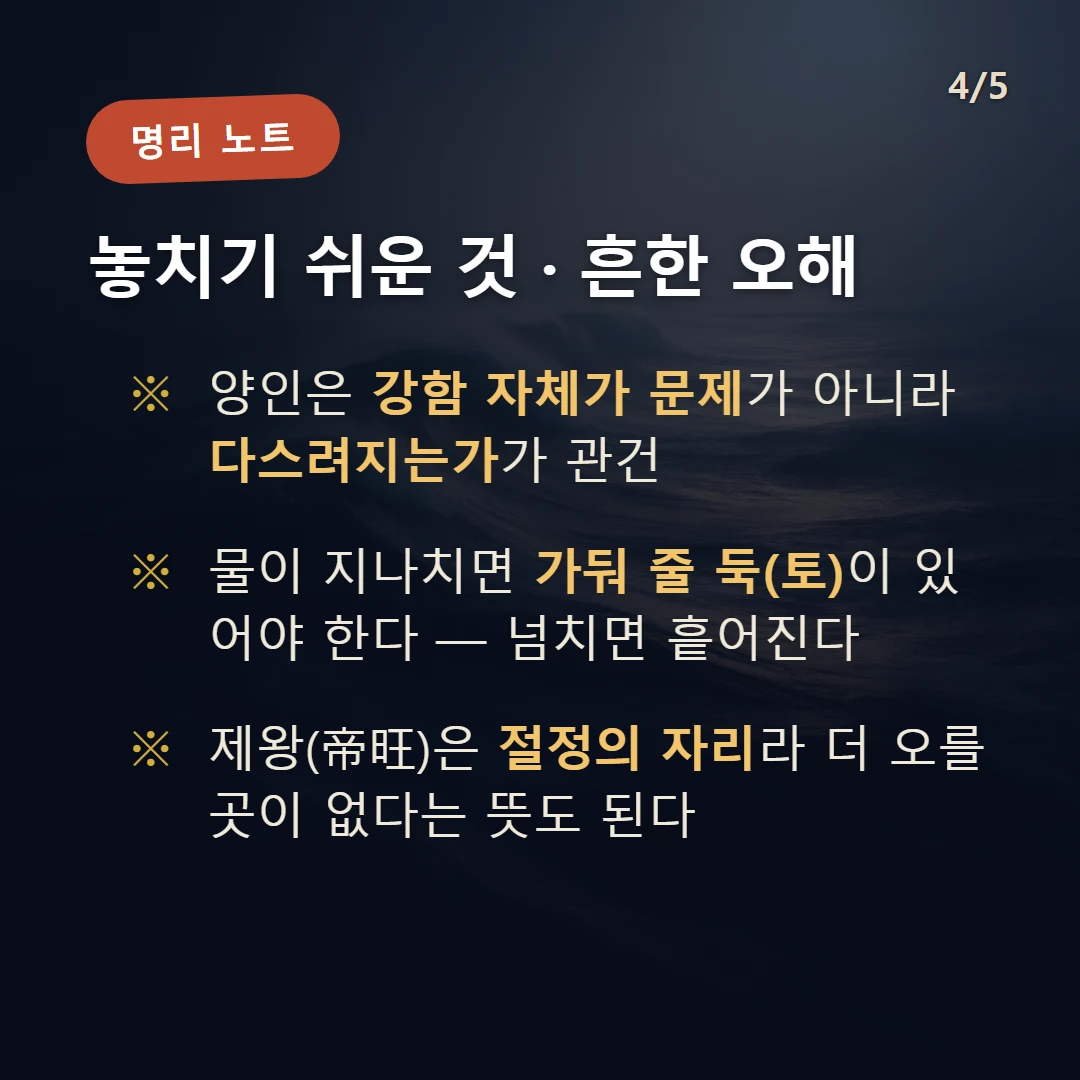 임자일주 주의·오해 — 양인은 강함 자체가 문제가 아니라 다스려지는가가 관건 / 물이 지나치면 가둬 줄 둑(토)이 있어야 한다 — 넘치면 흩어진다 / 제왕(帝旺)은 절정의 자리라 더 오를 곳이 없다는 뜻도 된다