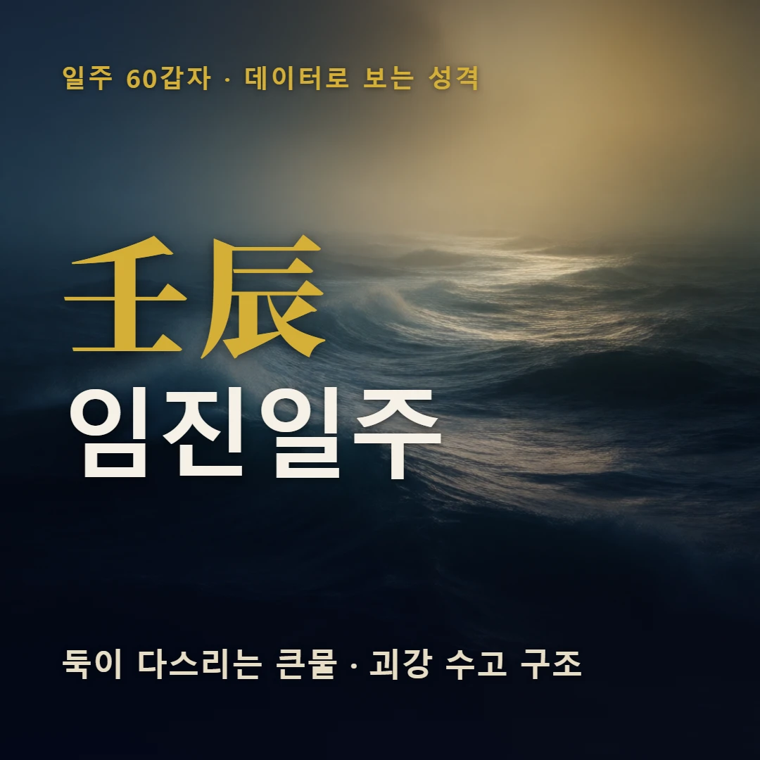 임진일주 표지 — 둑이 다스리는 큰물 · 괴강 수고 구조