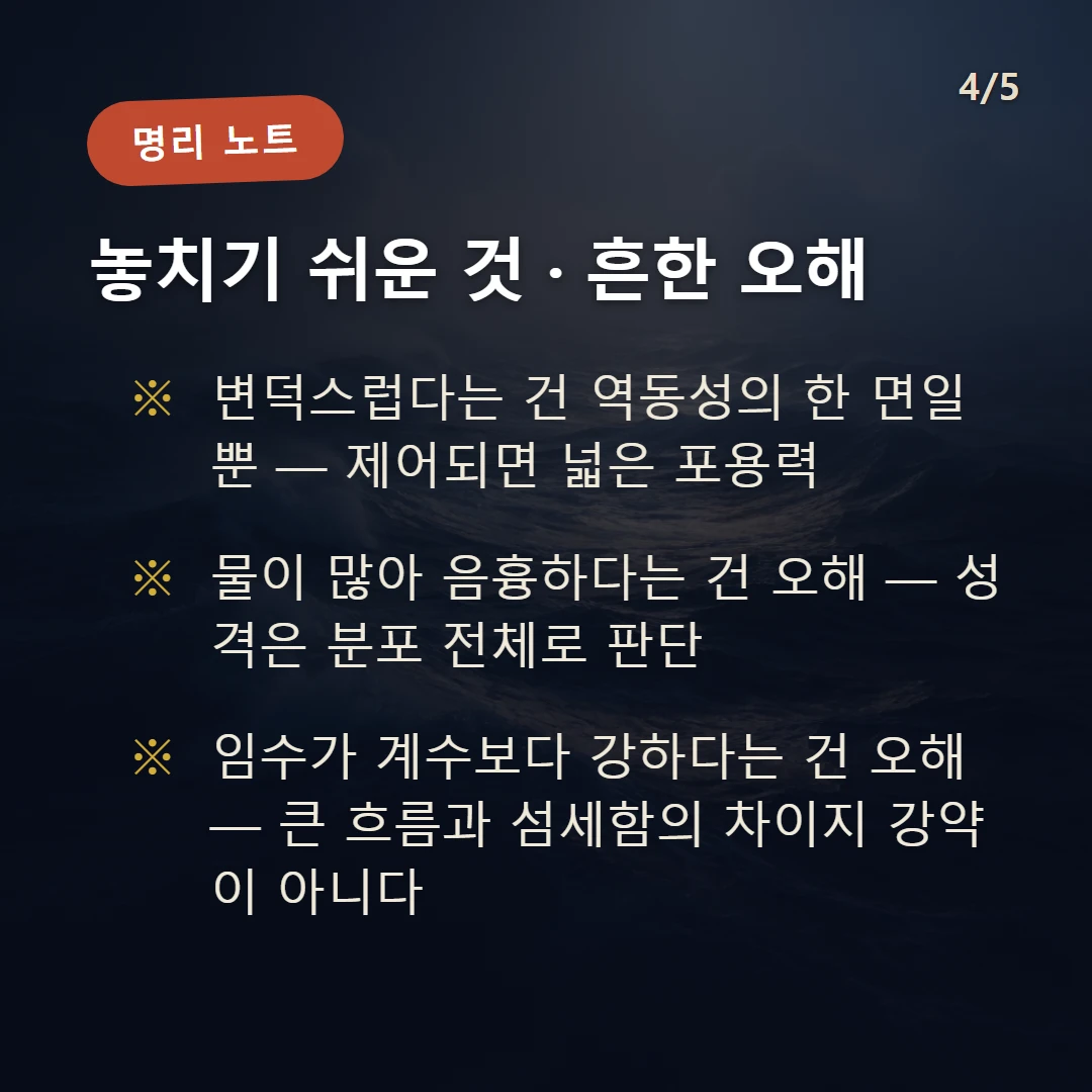 임수 주의·오해 — 변덕스럽다는 건 역동성의 한 면일 뿐 — 제어되면 넓은 포용력 / 물이 많아 음흉하다는 건 오해 — 성격은 분포 전체로 판단 / 임수가 계수보다 강하다는 건 오해 — 큰 흐름과 섬세함의 차이지 강약이 아니다