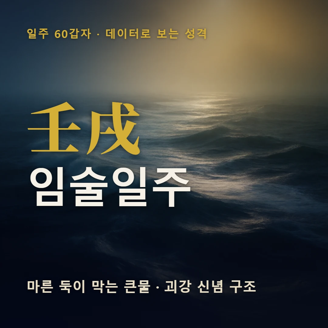 임술일주 표지 — 마른 둑이 막는 큰물 · 괴강 신념 구조