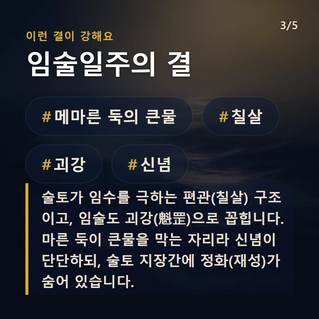 임술일주의 결 — #메마른 둑의 큰물 #칠살 #괴강 #신념