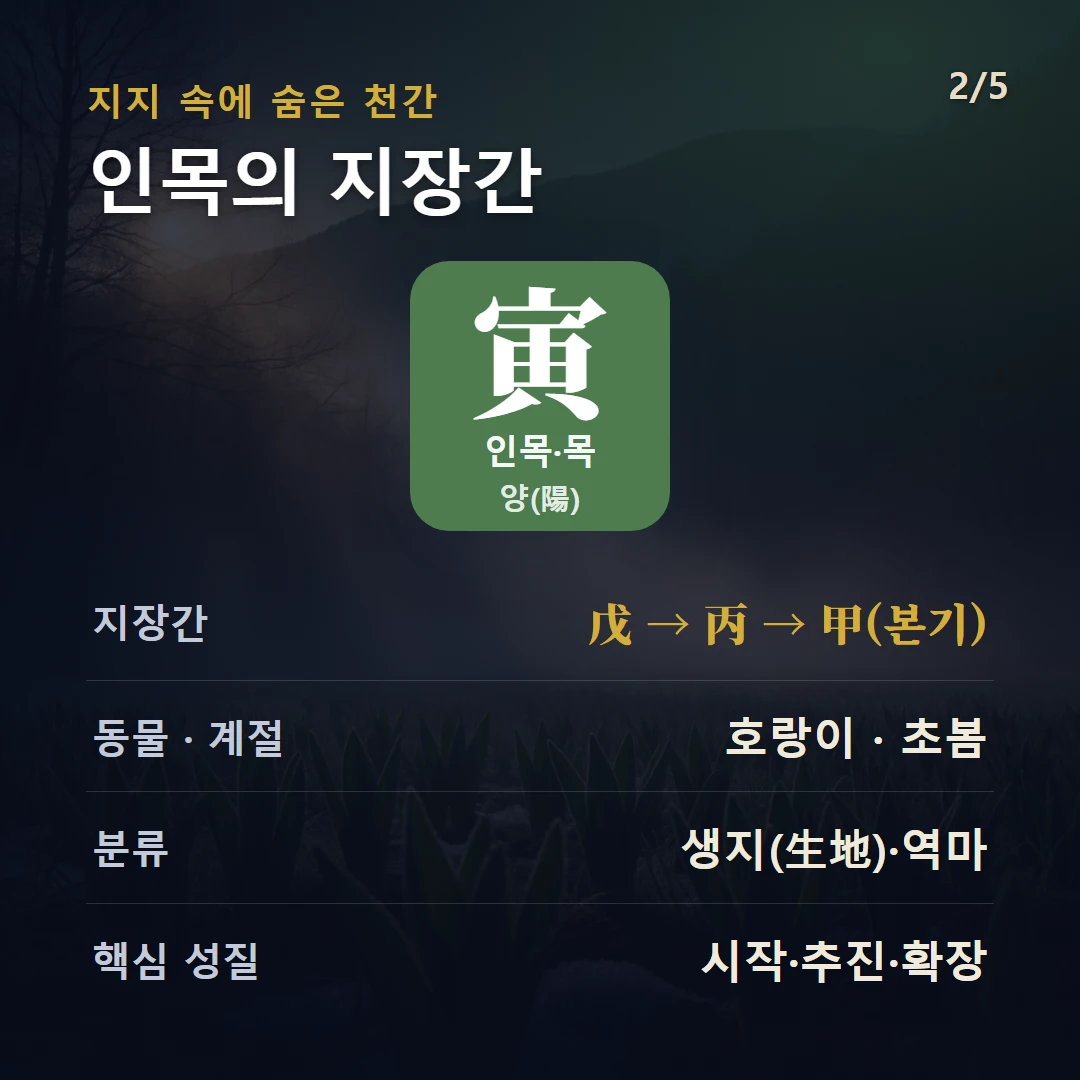 인목 지장간 — 목 양(陽), 지장간 戊 → 丙 → 甲(본기), 동물 호랑이, 초봄, 생지(生地)·역마