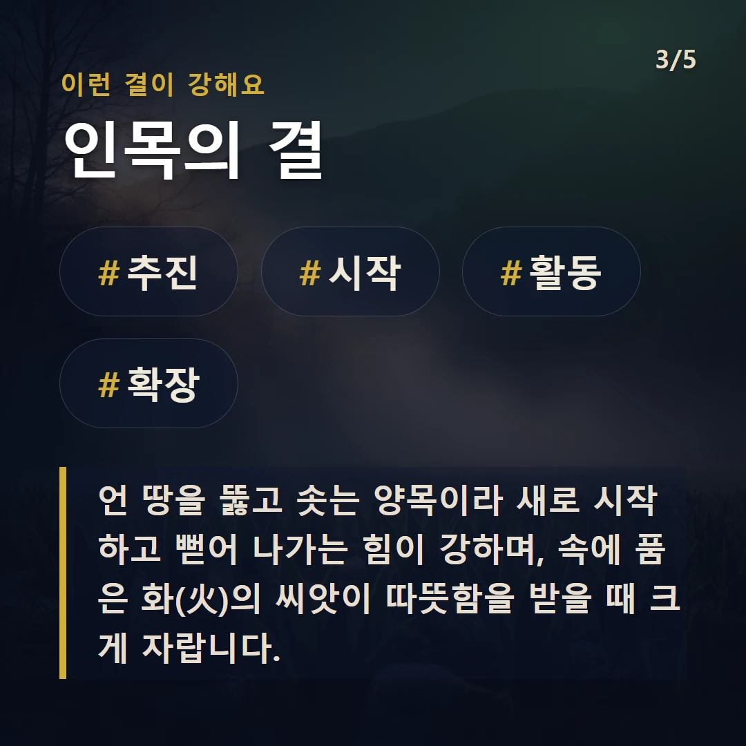 인목의 결 — #추진 #시작 #활동 #확장