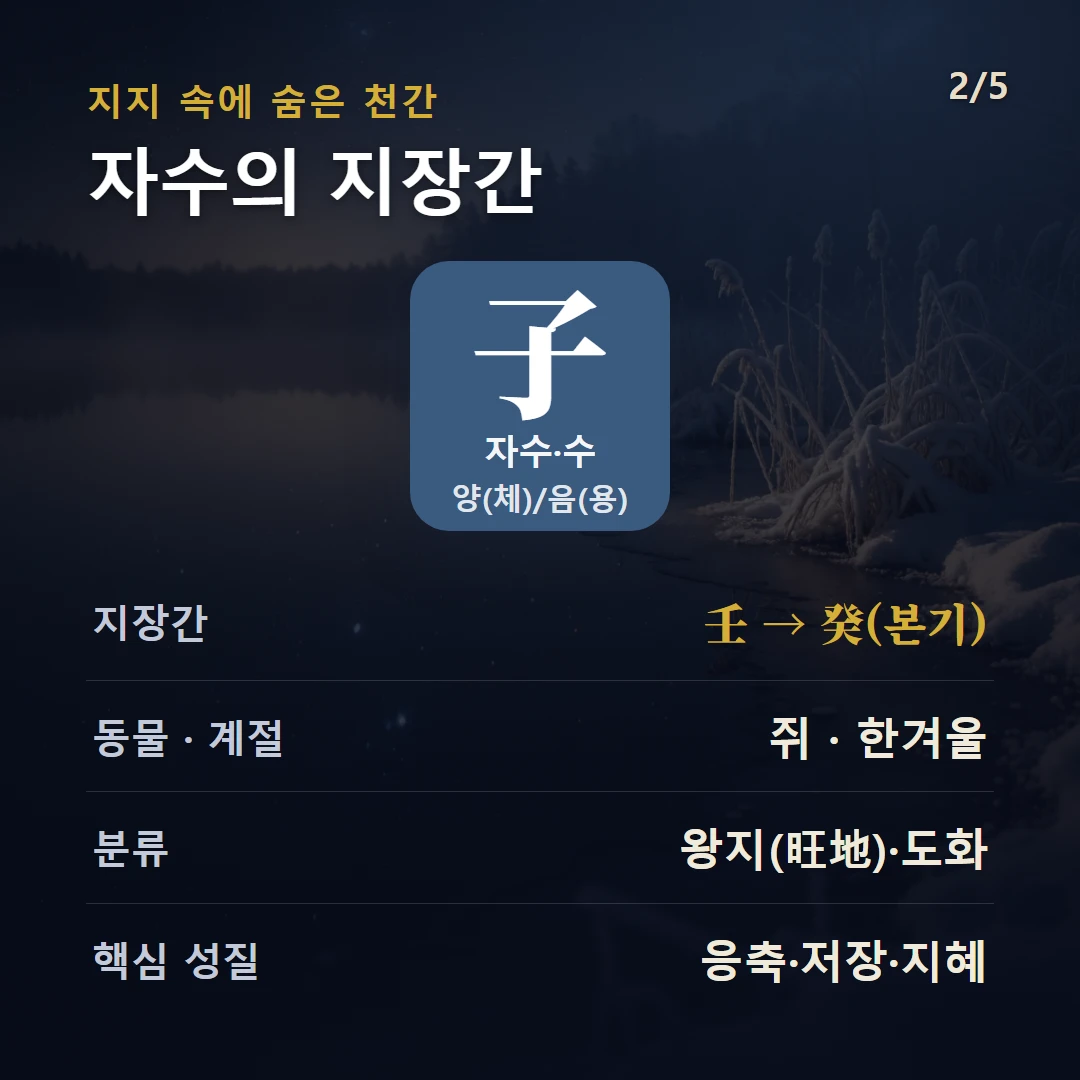 자수 지장간 — 수 양(체)/음(용), 지장간 壬 → 癸(본기), 동물 쥐, 한겨울, 왕지(旺地)·도화