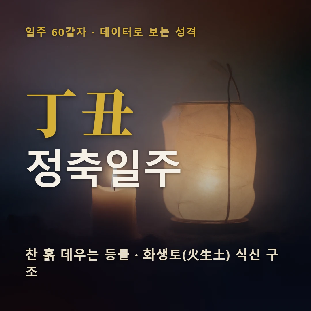 정축일주 표지 — 찬 흙 데우는 등불 · 화생토(火生土) 식신 구조