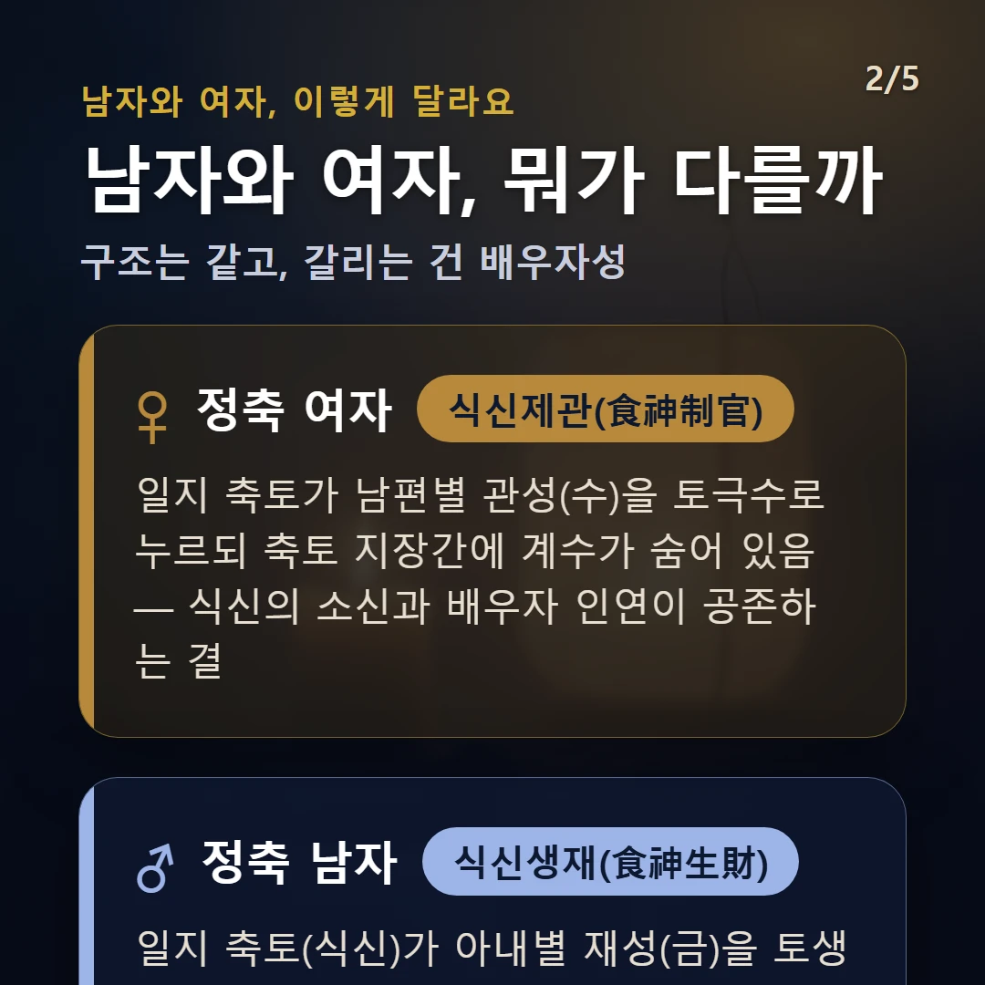 정축일주 남녀 차이 — 여자 식신제관(食神制官): 일지 축토가 남편별 관성(수)을 토극수로 누르되 축토 지장간에 계수가 숨어 있음 — 식신의 소신과 배우자 인연이 공존하는 결 / 남자 식신생재(食神生財): 일지 축토(식신)가 아내별 재성(금)을 토생금으로 생하고 축토가 금고 — 묵묵히 베푸는 표현이 재물·인연으로 이어지는 결