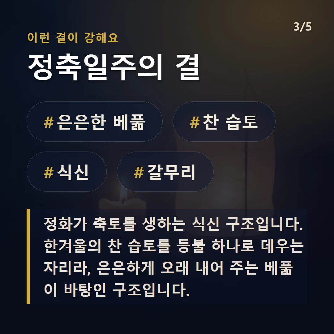 정축일주의 결 — #은은한 베풂 #찬 습토 #식신 #갈무리